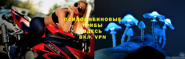 ALPHA-PVP Алексеевка