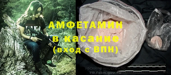 сатива Алзамай