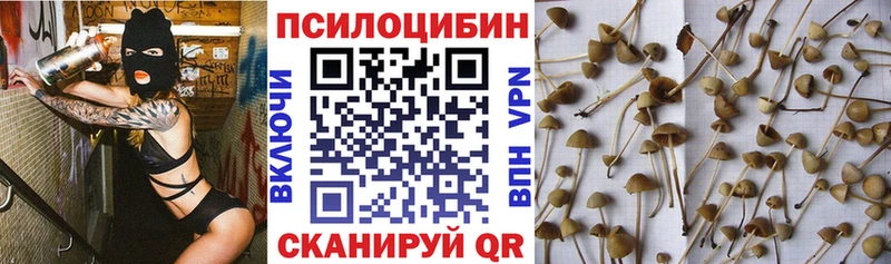 Псилоцибиновые грибы ЛСД  Данилов 